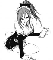 fairy_tail_erza_20110120_00015.jpg